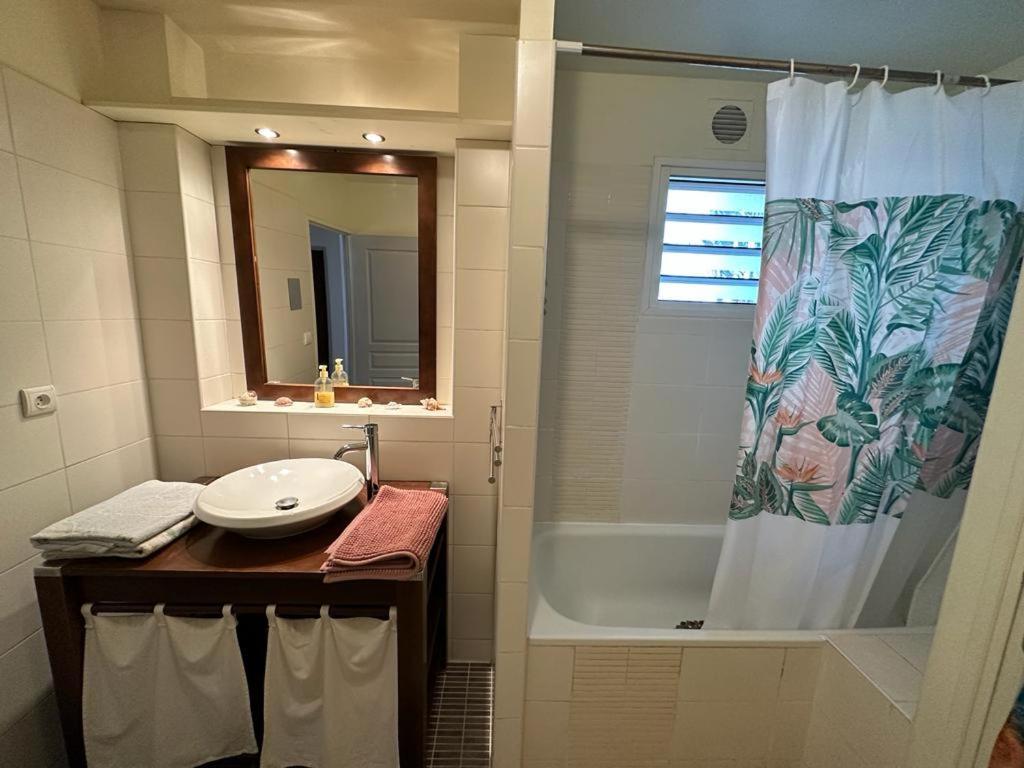 Appartement T3 Proche Aeroport Et Nordev Sainte-Clotilde エクステリア 写真